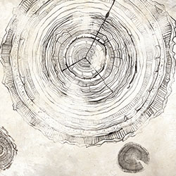万物生长-原创定制壁画 张杉杉  创意星空官方网站 - 附件